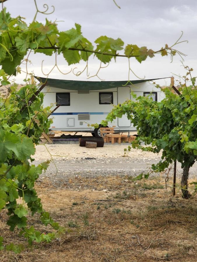 Itav Bateva Caravans - ייטב בטבע קרוואנים Mitzpe Ramon Exterior foto